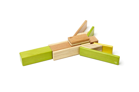 14 Piece Tegu Magnetic Wooden Block Set, Jungle