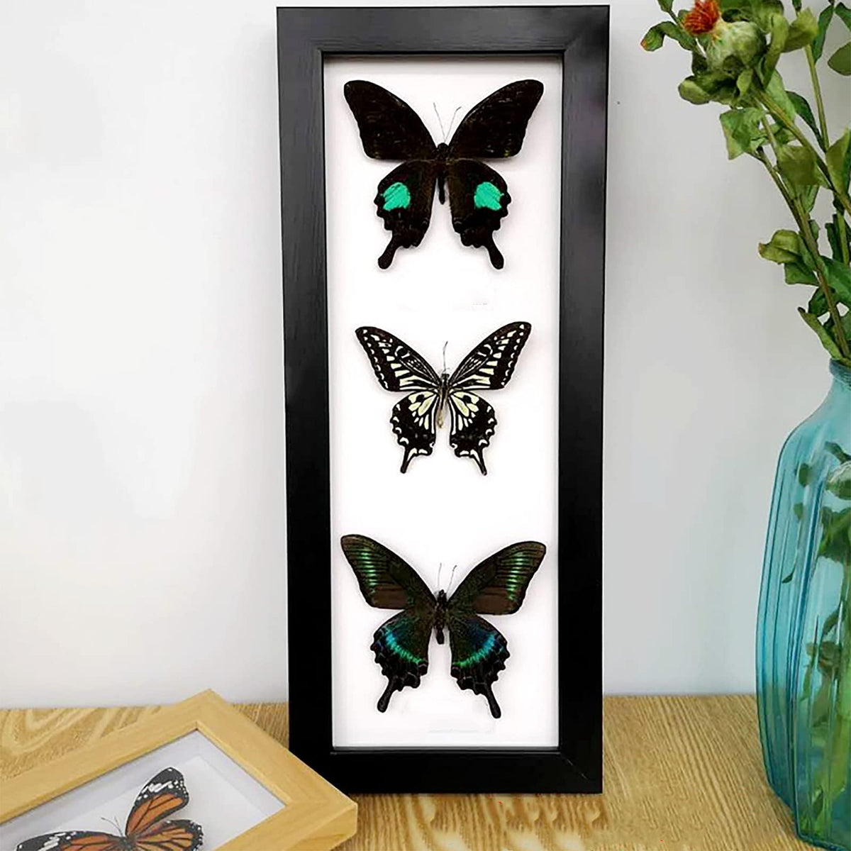 Real Framed Butterflies Insect Specimen Butterfly Taxidermy Handmade Specimen Craft Birthday Gift,Home Decoration Photo Wall Children's Experimental Gifts,Frame Size 15 X 37cm,Random Match