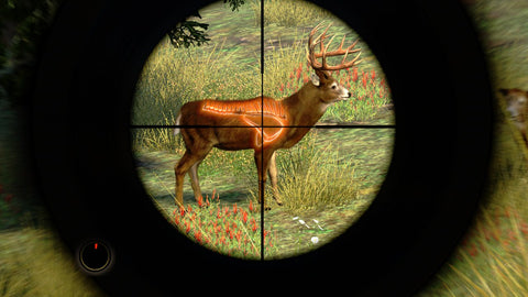 Cabela's Outdoor Adventures 2010 - PC
