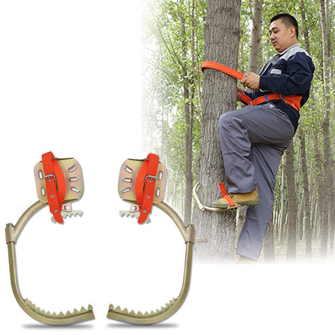 GBHJJ Pole Climbing Spikes, Climbing Trees Dedicated Tool, Thicken Climbing Trees Tool, for Hunting Observation, Picking Fruit, Coconut, Simple to Use.,450Model