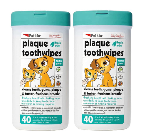 Petkin Cat and Dog Dental Wipes, 80 Wipes (Fresh Mint) - Natural Formula Cleans Teeth, Gums & Freshens Breath - for Daily Use - Convenient Dog Dental Care - 2 Packs of 40 Wipes (80 Wipes Total)