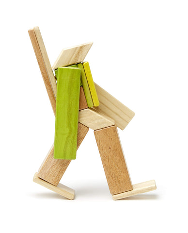 14 Piece Tegu Magnetic Wooden Block Set, Jungle