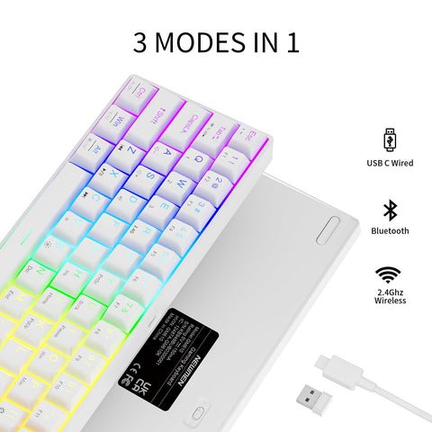 NEWMEN GM610 Wireless Mechanical Keyboard,White 60% Wired USB C/Bluetooth/2.4Ghz RGB Backlit Hot Swappable Keyboard,Compact Anti-Ghosting Mac Windows PC Gaming Keyboard,QWERTY Layout(Red Switches)
