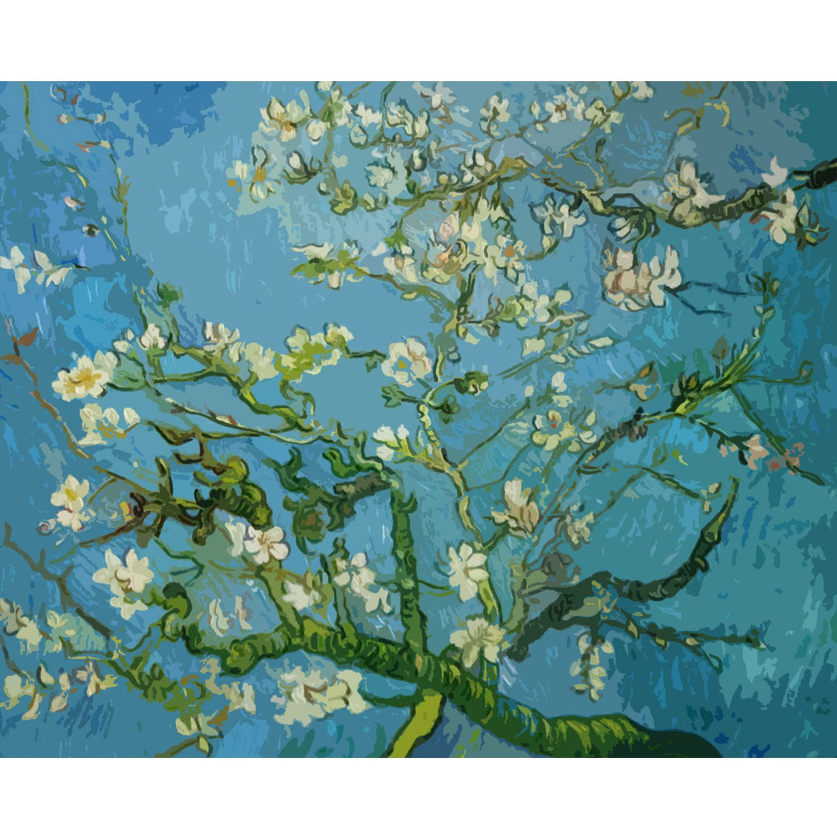 Vincent Van Gogh Masterpiece Series Paint by Numbers for Adults by Tococoo, DIY Adult Paint by Number Kits for Beginners on Canvas Rolled 16" by 20" Unframed (Bloom Apricot Flowers)