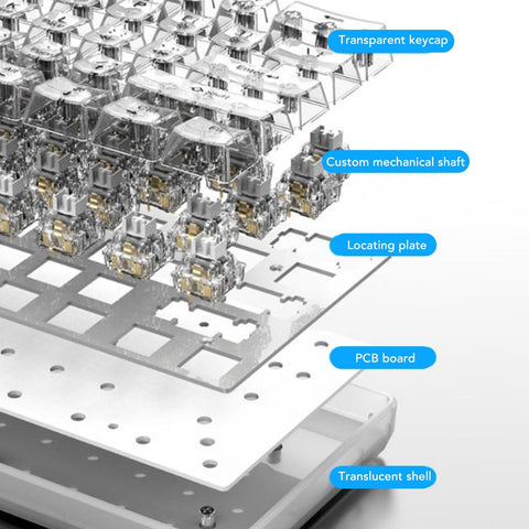 VBESTLIFE Wired RGB Gaming Keyboard, 61 Keys Clear Keycap Full Transparent Mechanical Keyboard Customizable Hot Plug Switch Gaming Keyboard with 19 Lights, for Office Gaming