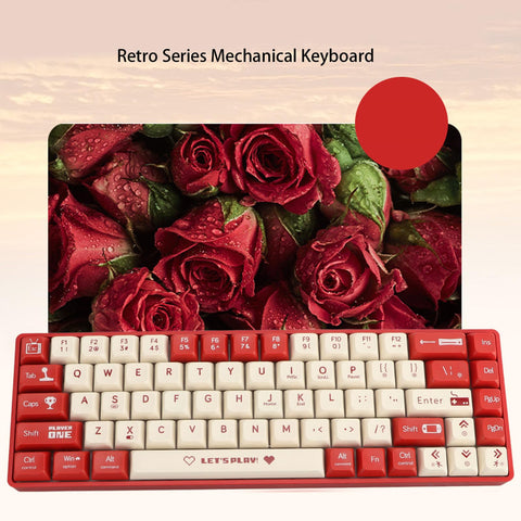 ciciglow Wired Keyboard, 68 Keys Hot Swappable Red Switch USB Mechanical Keyboard Dynamic Backlighting Gaming Keyboard for Type C Devices (Red and White)