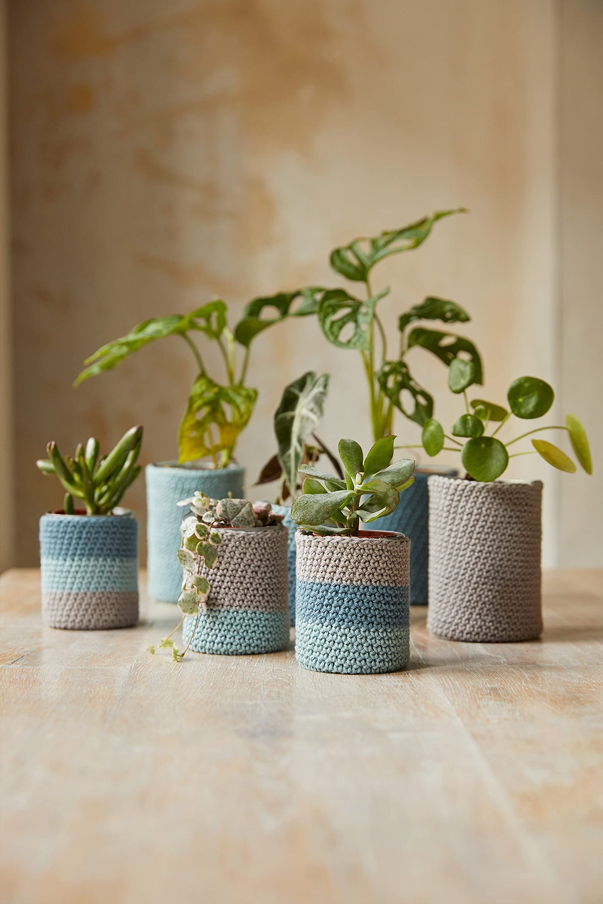 DMC Peaceful Plant Pots Crochet Kit, One Size, Various
