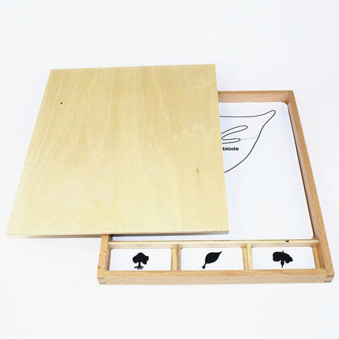Montessori Materials Early Learning Education Toy Tree/Flower/Leaf Parts Early Learning Developing Cards Montessori Toys for Toddlers