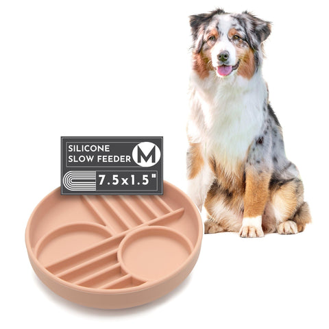 Should We Go? Silicone Sunset Bowl Medium Blush