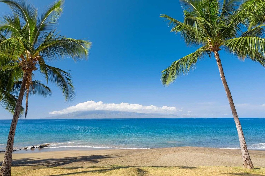 PigBangbang,Stained Art Jigsaw Puzzle Kids Adult Literate Jigsaw Puzzle 1000 Piece 29.5 X 19.7'' Basswood Mural Home Decoration-Tropics Coast Sea Ocean Hawaii Palma