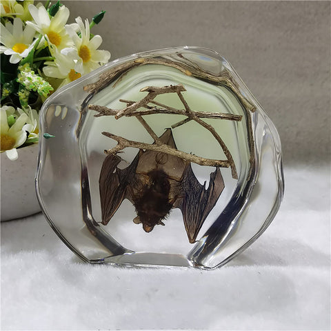 Guoyoocc Real Insect Specimen,3D Bug Specimen,Artificial Crystal Scorpion Bat Spider Specime,Insect Resin Paperweight Taxidermy,Collection Amber,Biology Science Bugs World,for Science Education