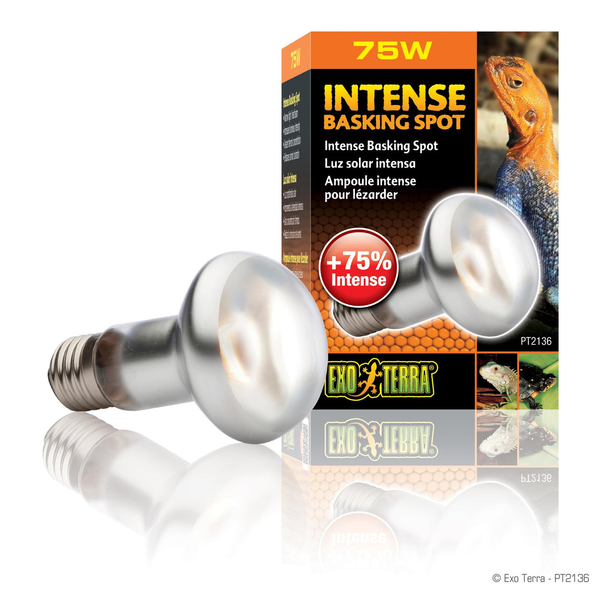 Exo Terra Intense Basking Spot Lamp, 75 W