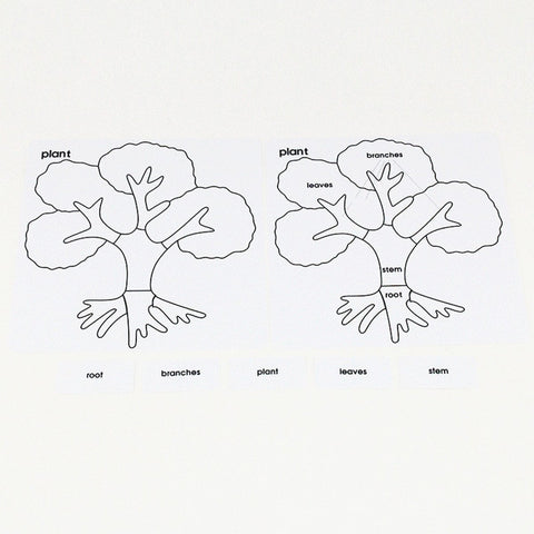 Montessori Materials Early Learning Education Toy Tree/Flower/Leaf Parts Early Learning Developing Cards Montessori Toys for Toddlers