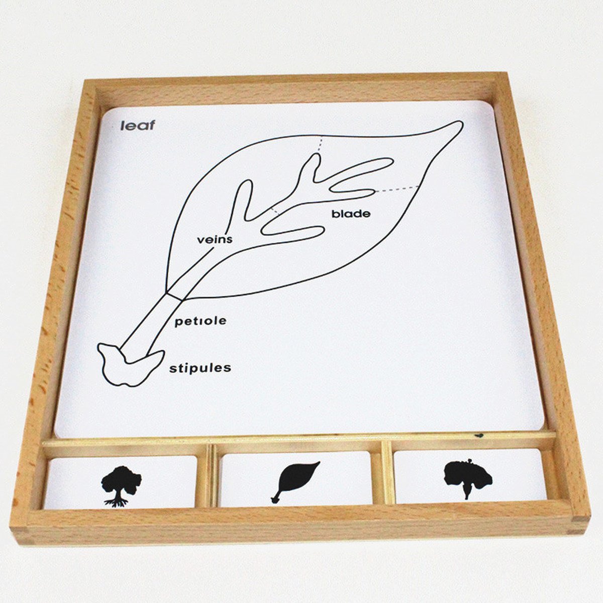 Montessori Materials Early Learning Education Toy Tree/Flower/Leaf Parts Early Learning Developing Cards Montessori Toys for Toddlers