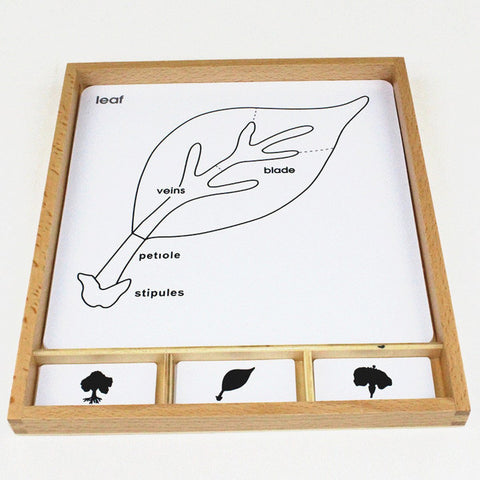 Montessori Materials Early Learning Education Toy Tree/Flower/Leaf Parts Early Learning Developing Cards Montessori Toys for Toddlers