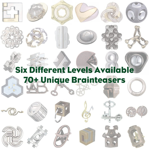 KEY II Hanayama Cast Metal Brain Teaser Puzzle (Level 2)