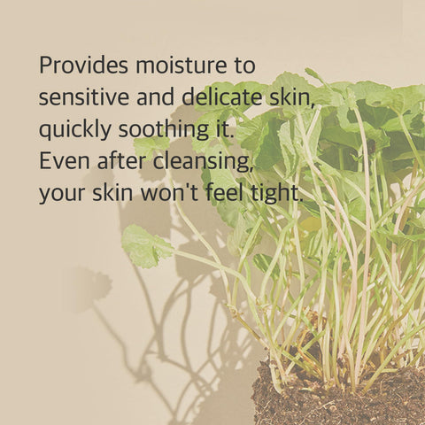mixsoon Centella Cleansing Foam 5.07 fl oz/ 150ml,Low pH cleansing foam for soothing and moisturization,cruelty-free