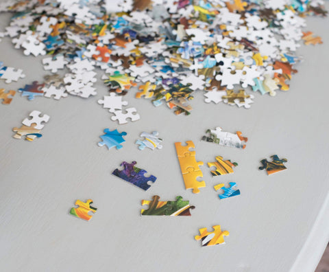 Toynk It's A Dragon's World Magic Fantasy Puzzle for Adults and Kids | Difficult 1000 Piece Jigsaw Puzzle Toy | Fun Quarantine Gift | Interactive Brain Teaser Challenge for Game Night | 28 x 20 Inches