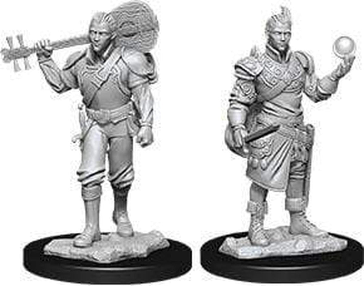 D&D Nolzur's Marvelous Miniatures - Male Half-Elf Bard