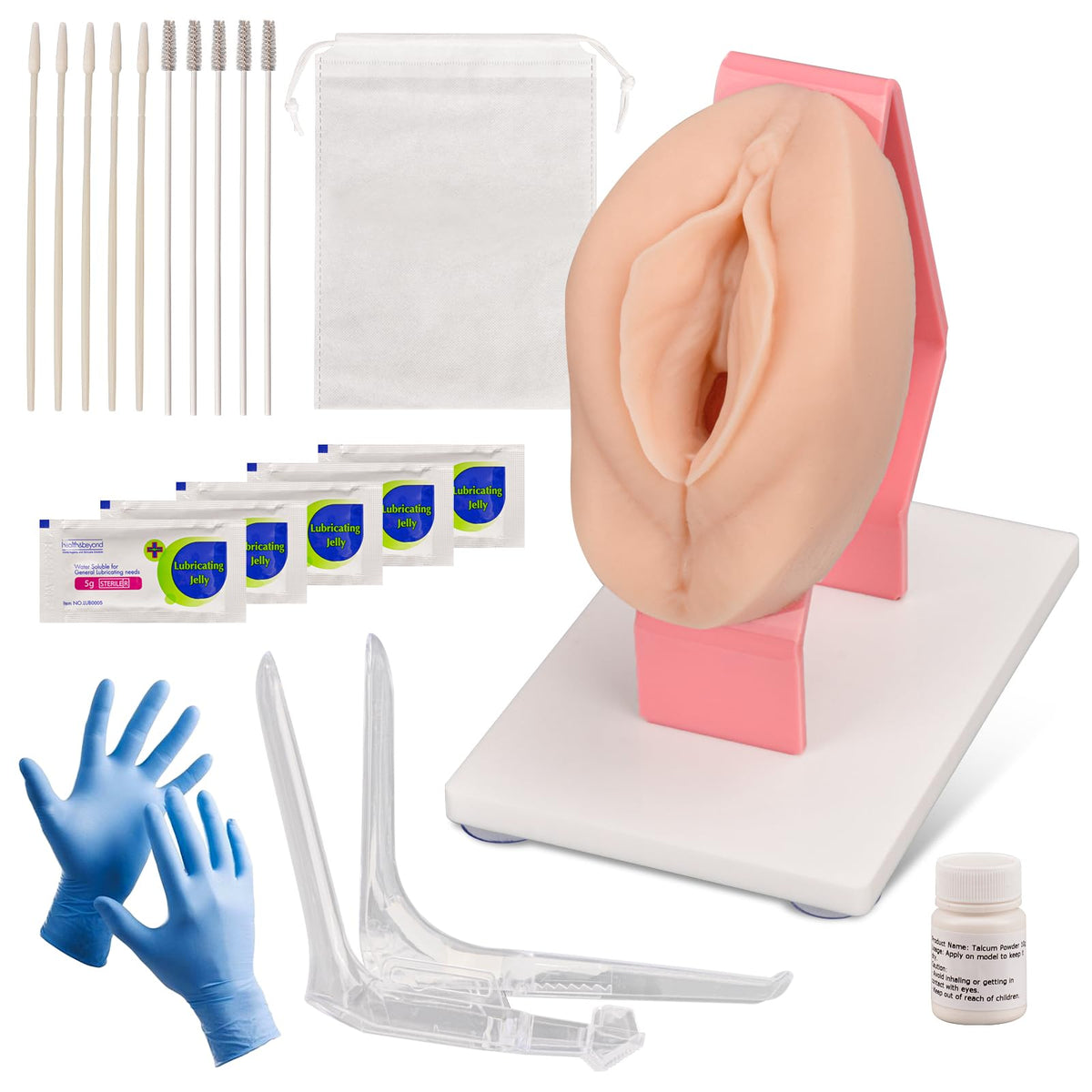 MedEduQuest Pelvic Health Model, Vaginal Training Model for Science Education, Gynecological Examination Anatomical Model for Demonstration