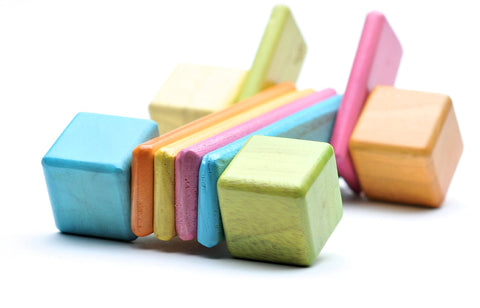 26 Piece Tegu Discovery Magnetic Wooden Block Set,1-99 years old, Tints