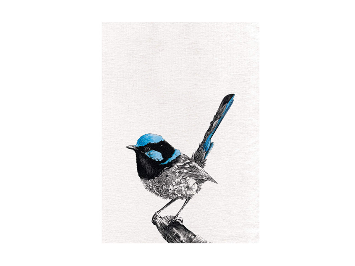 Maxwell & Williams Marini Ferlazzo Birds Printed Tea Towel with Superb Fairy-wren Design, 100% Cotton, Black/White, 50 x 70 cm