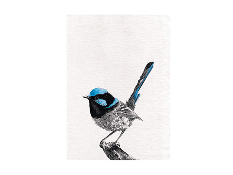 Maxwell & Williams Marini Ferlazzo Birds Printed Tea Towel with Superb Fairy-wren Design, 100% Cotton, Black/White, 50 x 70 cm