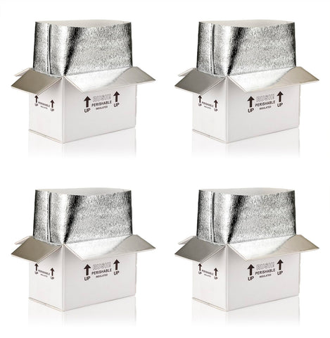 10x6x7''4 Pack Insulated Shipping Boxes with Aluminum Foil Liner,Double Insulated Carton for Frozen Food and hot,Reusable Perishable Shipper Cooler Box, Small Mailing Box for Shipping(White)
