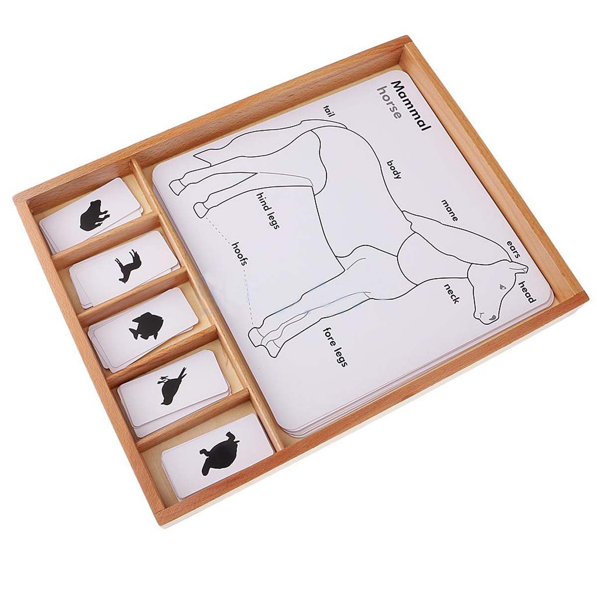 Montessori Early Learning Education Toy Mammal/Amphibian/Reptile Animal Learning Cards Montessori Toys for Toddlers