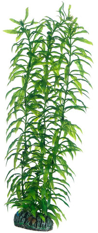 Hobby Heteranthera