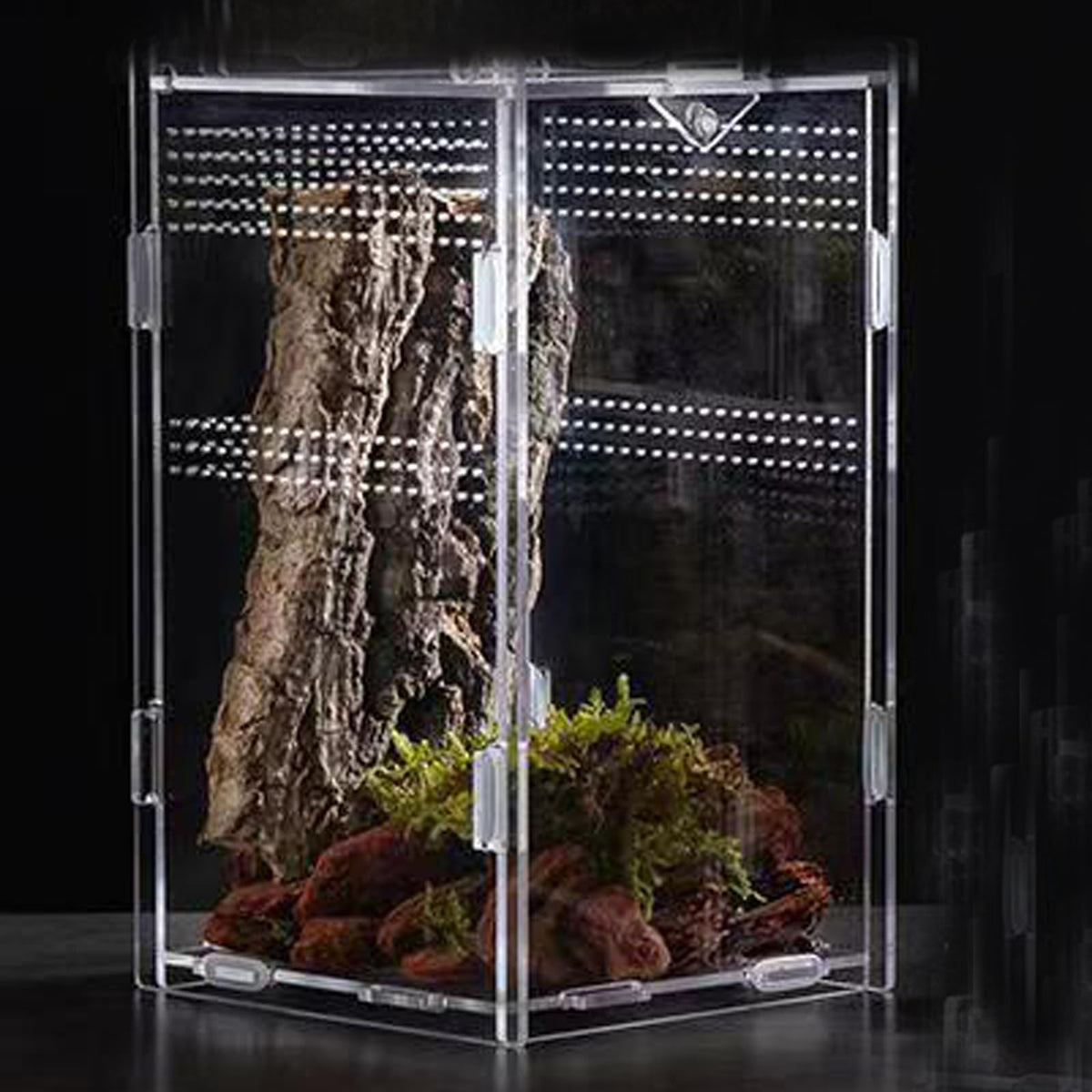 Micro Habitat Terrarium Enclosure