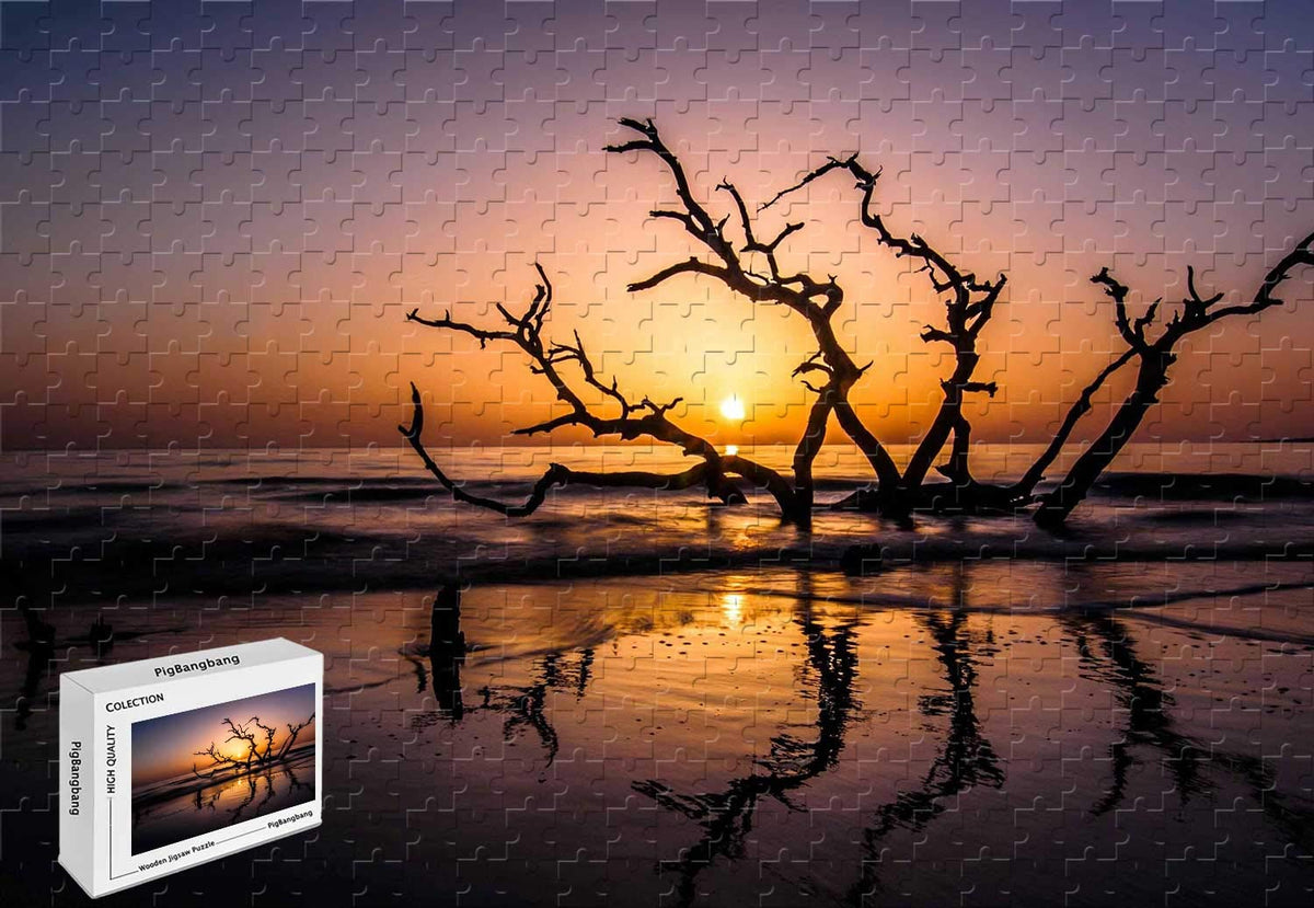 500 Piece Jigsaw Puzzle - Driftwood Beach Jekyll Island Georgia Wooden Bright Colorful Art Pictures 20.6 X 15.1 Inch