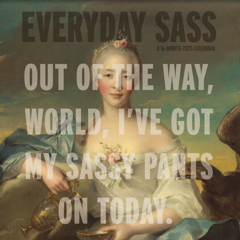 2025 Everyday Sass Wall Calendar