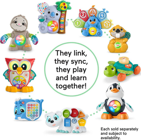 Fisher-Price FP Infant HNM92 Toy