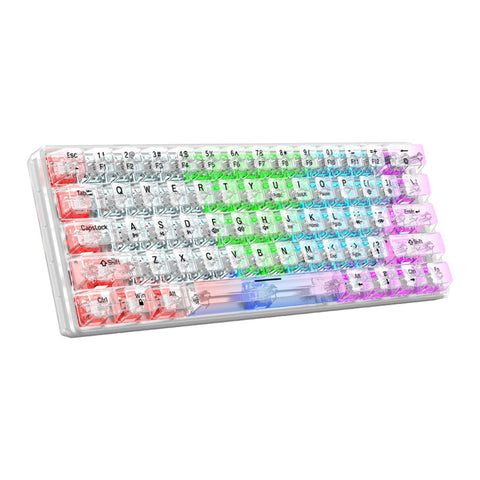 VBESTLIFE Wired RGB Gaming Keyboard, 61 Keys Clear Keycap Full Transparent Mechanical Keyboard Customizable Hot Plug Switch Gaming Keyboard with 19 Lights, for Office Gaming