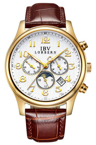 MASTOP Swiss Brands Men's Automatic Self-Wind Watch Stainless Steel with Brown Genuine Leather Band (IBV-0702 -Brown Leather)