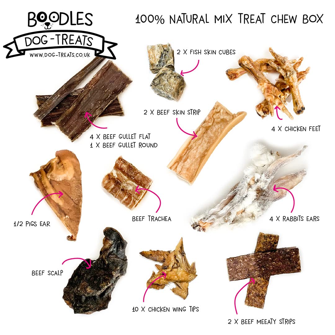 Boodles 100% Natural Doggy Treat & Chew Box | Healthy Raw Dog Treats | Grain, Gluten & Lactose Free