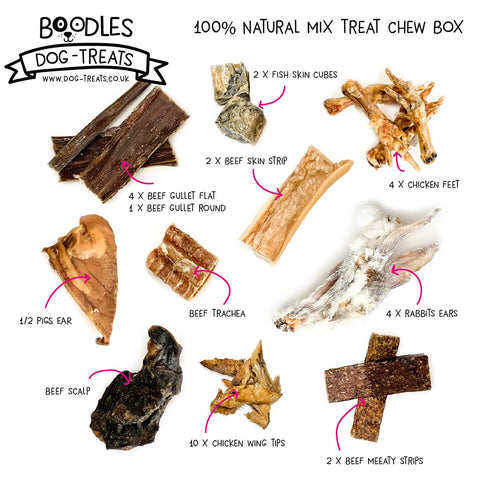 Boodles 100% Natural Doggy Treat & Chew Box | Healthy Raw Dog Treats | Grain, Gluten & Lactose Free