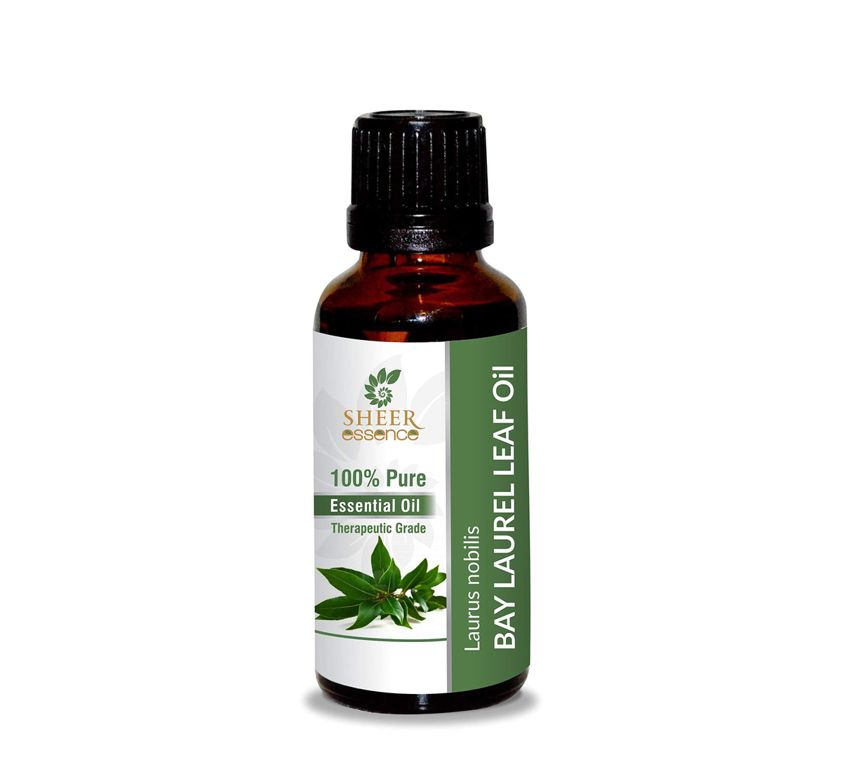 Bay Laurel Leaf Oil- (Laurus Nobilis)- Essential Oil 100% Pure Natural Undiluted Uncut Therapeutic Grade Oil 0.33 Fl.Oz.