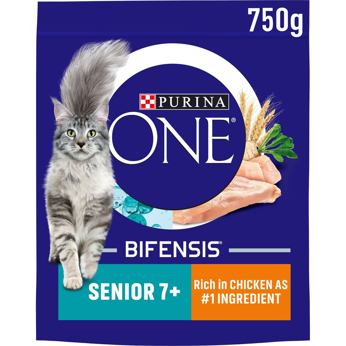 PURINA ONE Senior Dry Cat Food Chicken, 750g