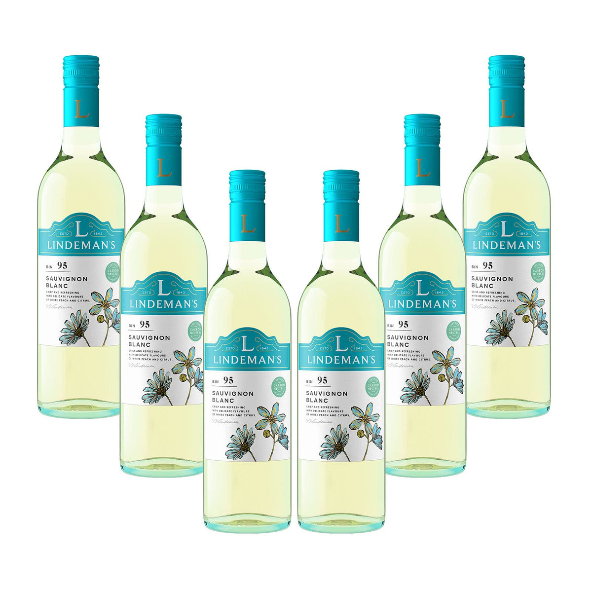 Lindeman's Sauvignon Blanc White Wine Case from South Eastern Australia (6 x 75cl Bottles)