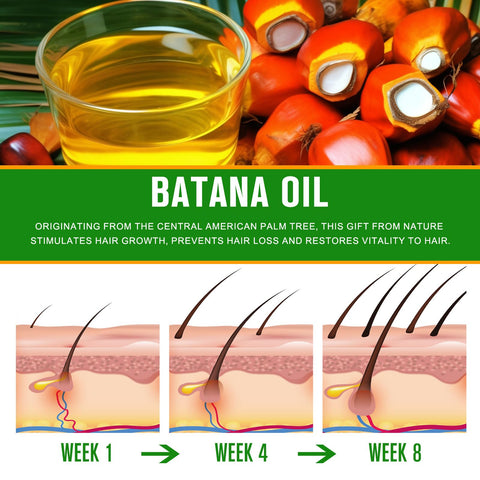 Batana Oil for Hair Growth, Natural Batana Oil, Prevents Hair Loss, eliminates Split Ends & Increases Shine, Batana Oil for Healthier, Thicker, Fuller Hair 60ML