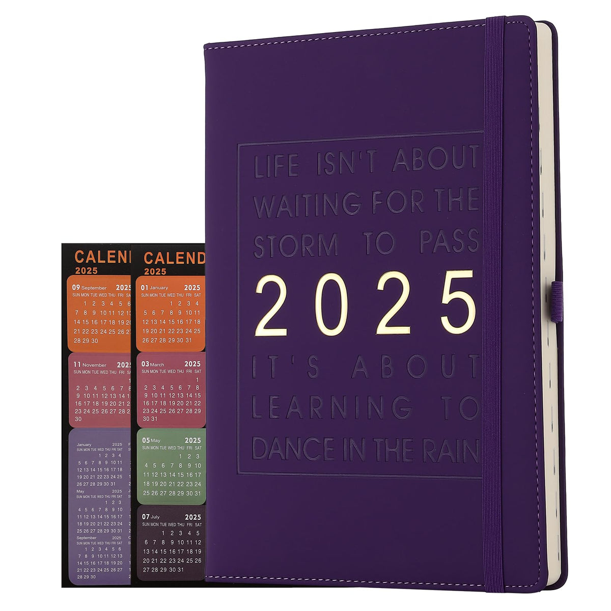 Diary Planner 2025,Academic Diary2025 Page a Day,Year Daily Diary Agenda 2025 Day to View from Jan 2025 to Dec 2025,Organiser Planner With Pen Hold/Monthly Tabs (Purple 2025)