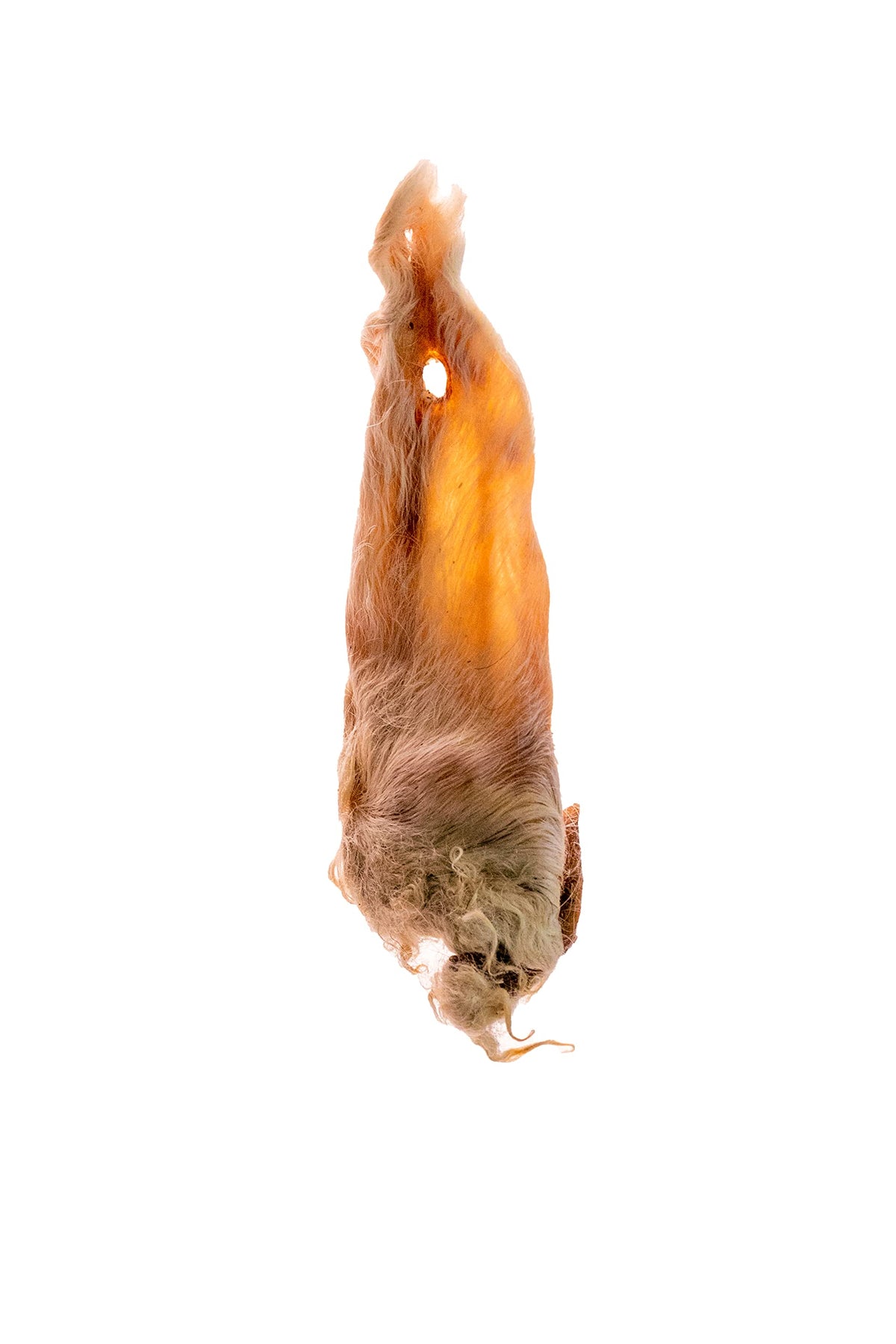 Doodles Deli Air Dried Lamb Ears With Hair 1kg