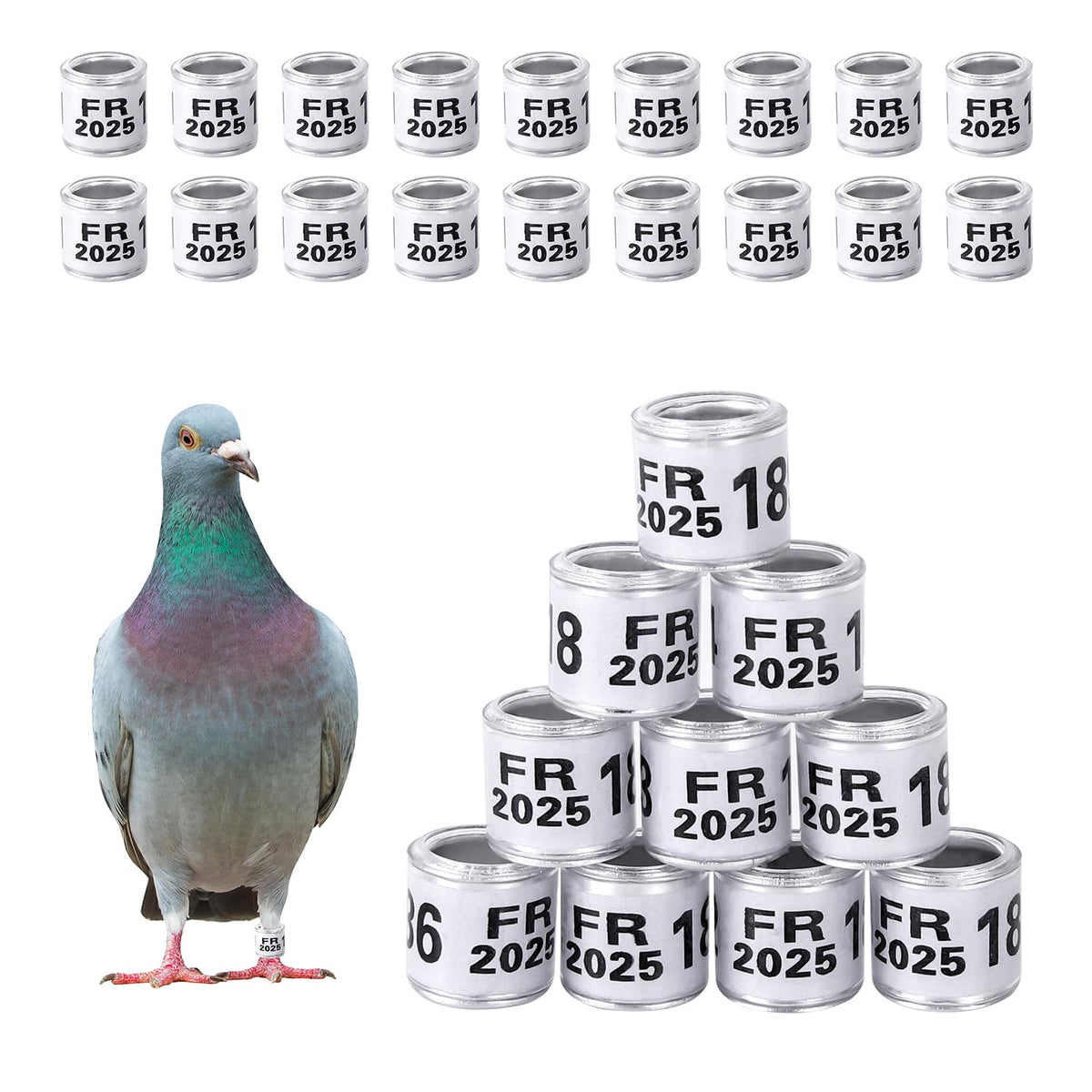 Pack of 100 Multicoloured Aluminium Pigeon Leg Rings Pigeon Leg Rings Identifying Bands Plastic with 2024 FR Training Identify Birds Foot Ring