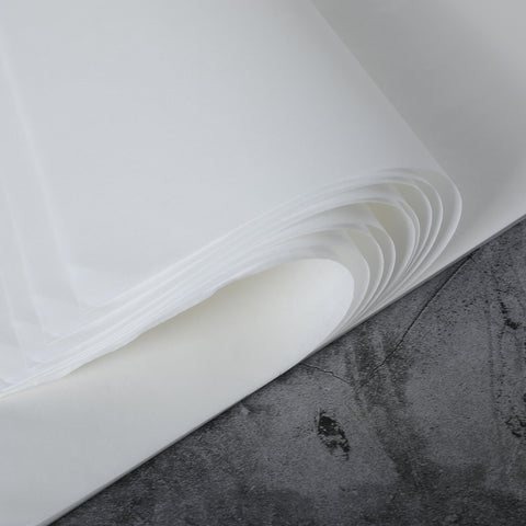 Skyygemm 50 Sheets Chinese Calligraphy Writing Rice Paper for Craft 10.2 x 14.2 Inch Chinese Japanese Paper Drawing Calligraphy Practice Paper Sketch Painting Xuan Paper Without Grids Art Supplies