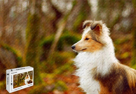 PigBangbang,20.6 X 15.1 Inch,Premium Basswood - Most Popular Sheltie - 500 Piece Jigsaw Puzzle