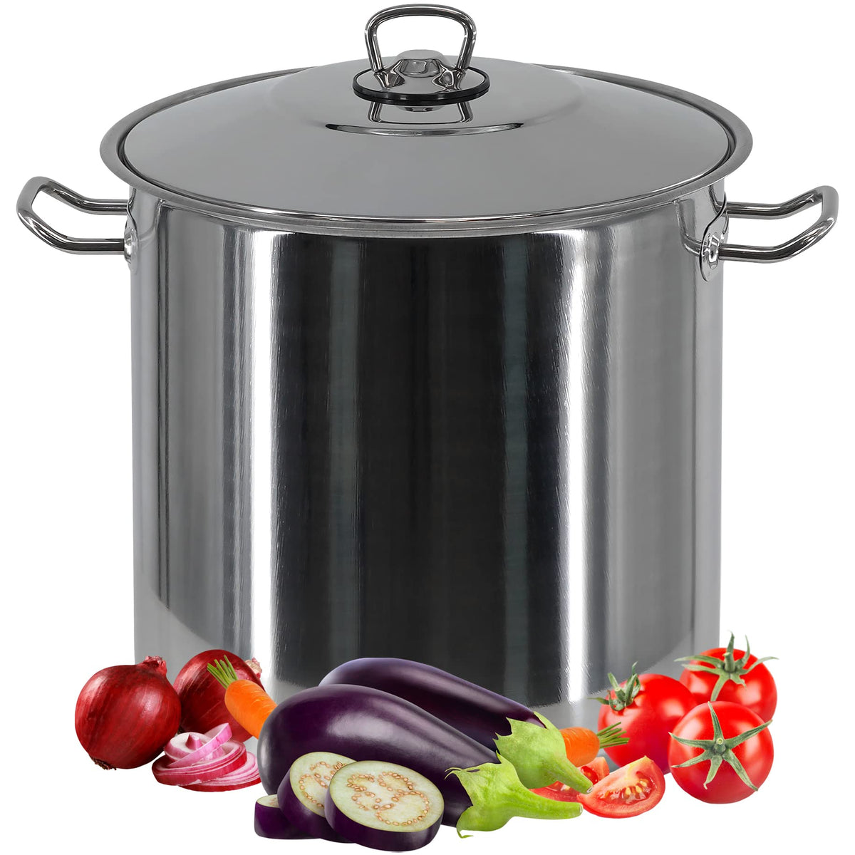 Arian Gastro Large Deep Stainless Steel Induction Stock Pot Casserole Stockpot (17 litre)