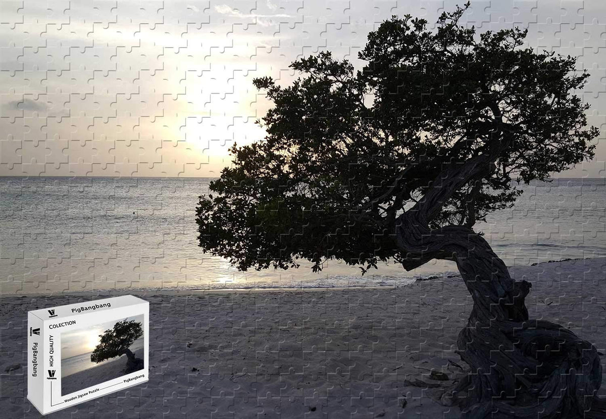 PigBangbang,20.6 X 15.1 in Premium Basswood Large Size - Divi Divi Tree in Aruba - 500 Piece Jigsaw Puzzle
