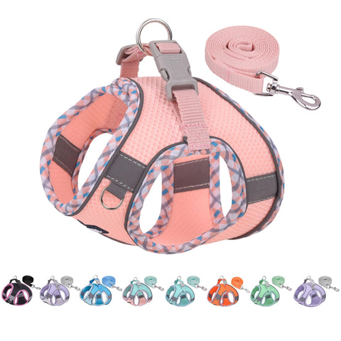 AIITLE Durable Dog Harness and Leash Set for Walking, Step in Vest Harness, Reflective Bands, Soft Breathable Pet Supplies, for Extra Small Dogs and House Cats Pink XXXS